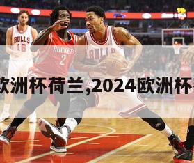 2024欧洲杯荷兰,2024欧洲杯荷兰队